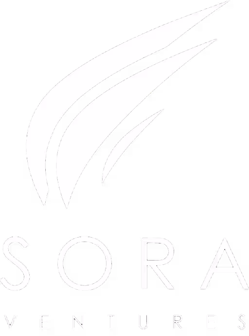 Sora Ventures